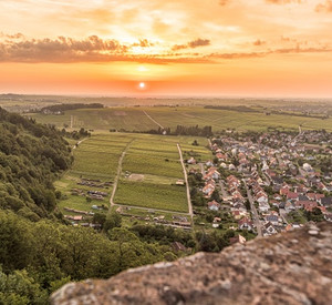 Aussichtspunkt bei Südlicher Weinstraße bei Sonnenuntergang