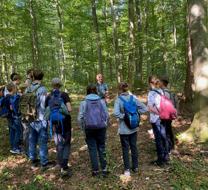 Kinder im Wald