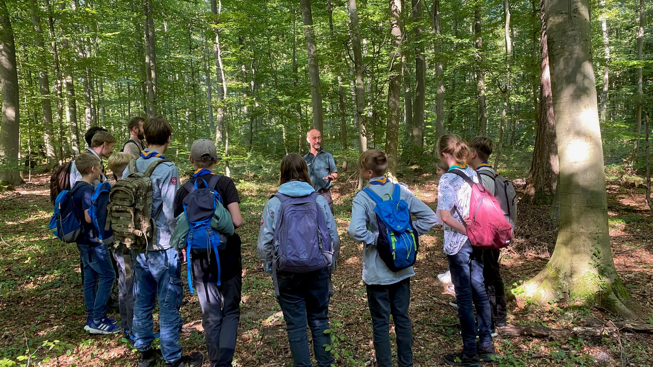 Kinder im Wald