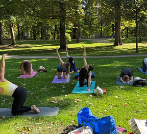 Fit im Kurpark Menschen die im Park Yoga machen