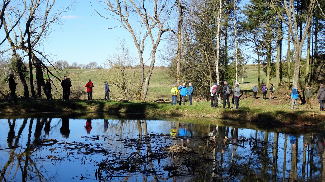 Wanderung Birkenfeld
