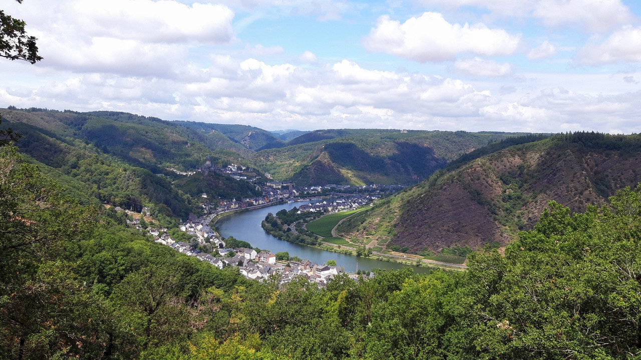 Blick auf die Mosel von der Sehler Hütte