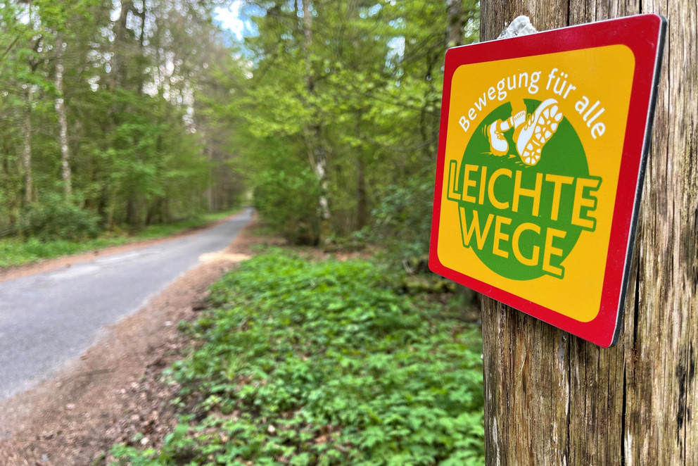 Startseite . Land in Bewegung RheinlandPfalz