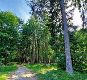 Waldbaden