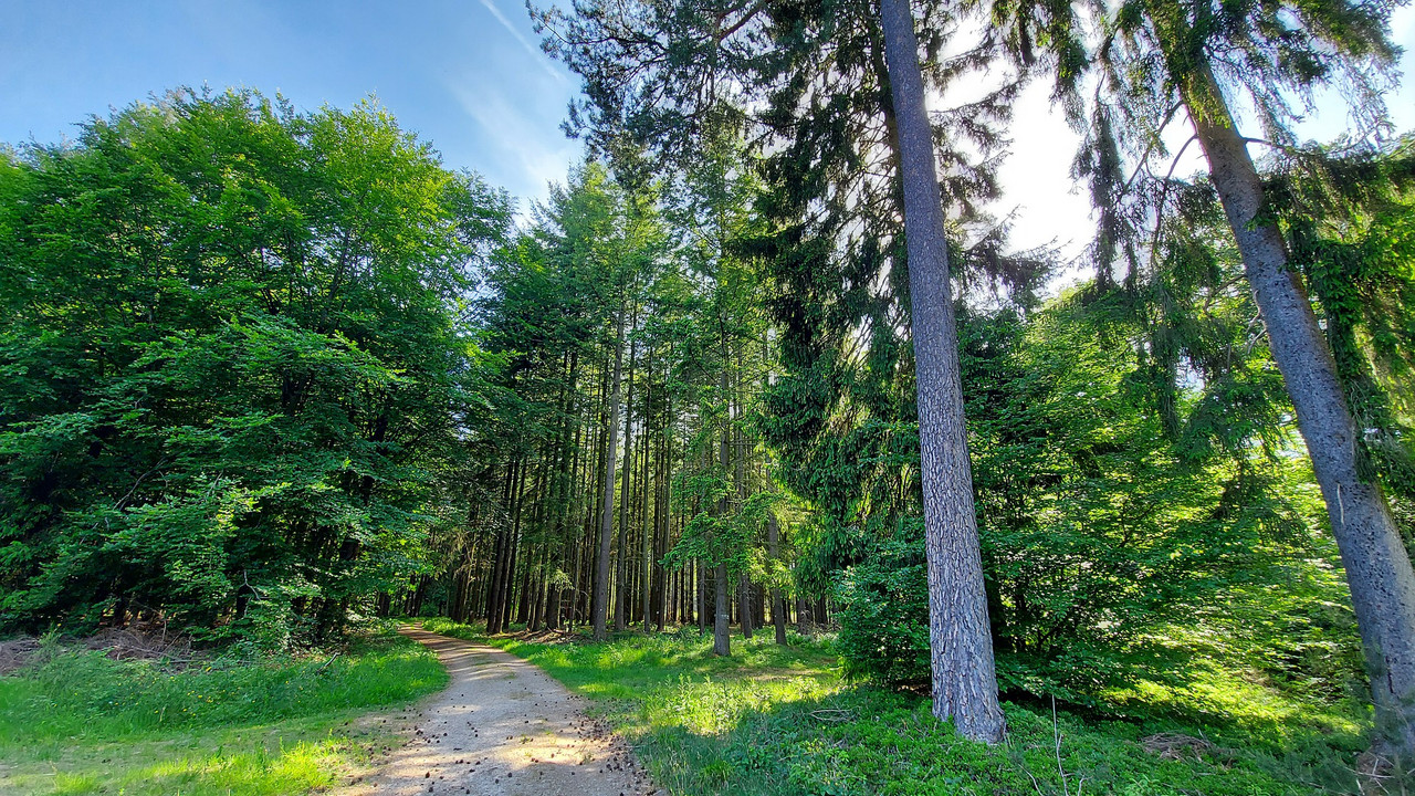 Waldbaden Waldbaden